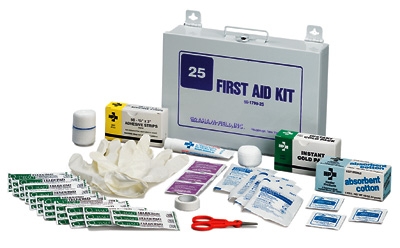 Stocked First Aid Kit - 25 person